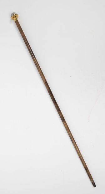 null Cane with knob decorated with a half-sphere in sulfur with dog head.

Wooden...