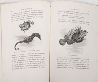 null 3 vol.

- Arthur MANGIN

Les mystères de l'Océan.

Tours, Mame et fils, 1865....