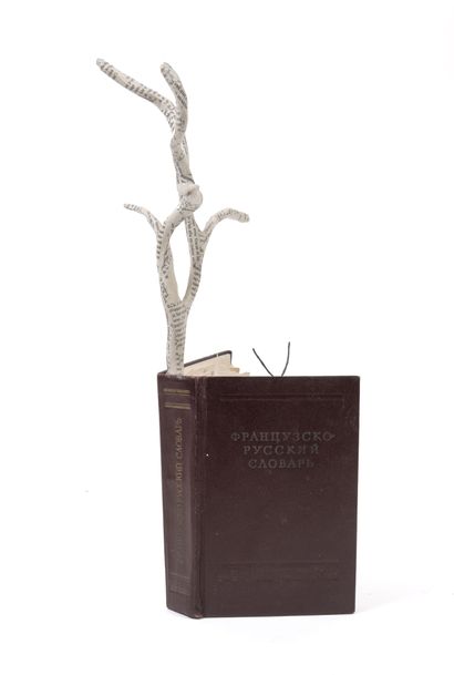 Laurence LEHEL (1967) Insecte dans son livre.

Technique mixte.

H. : 39 cm.



Un...