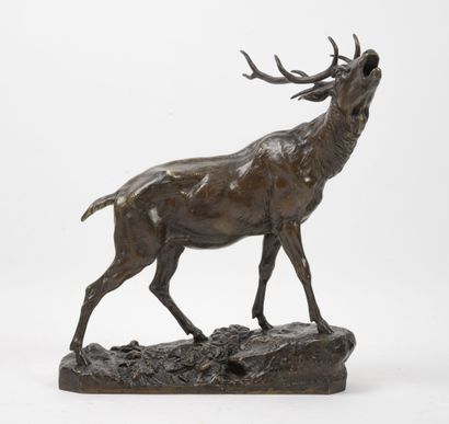 D'après CHARLES VALTON (1851-1918) Cerf bramant. 

Epreuve en bronze à patine brune...