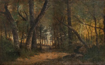 École de Barbizon, XIXème-XXème siècles Landscape of undergrowth.

Oil on canvas.

40...