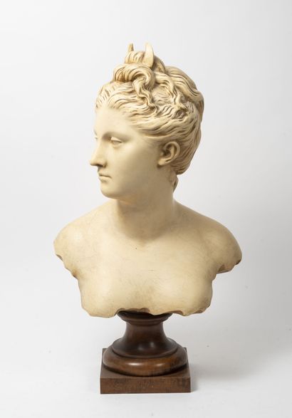 D'après Jean-Antoine HOUDON, édition du XXème siècle Buste de Diane.

Tirage en plâtre...