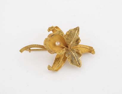 null Broche en or jaune (750) amati et texturé formant une fleur d'iris et centrée...
