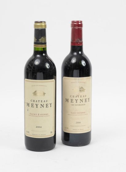 Château Meyney 1 bottle, 2000.

Cru bourgeois. Saint Estèphe.

Good level.

Rubbing...