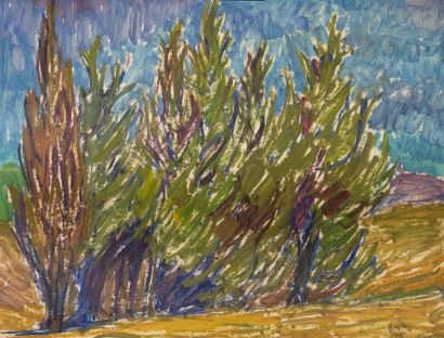 François DIANA (1903-1993) Nu assis et Paysage de Provence.
Crayons de couleurs sur...