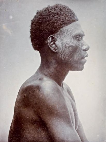 null Nouvelle Guinée Scènes et portraits d'après nature. Album de 24 photographies...