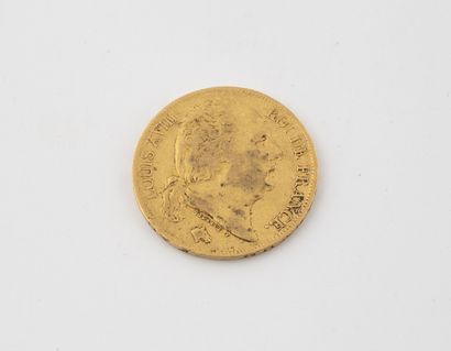 France Une pièce de 20 francs or, Louis XVIII, Paris, 1824.

Poids : 6.3 g. 

Rayures...