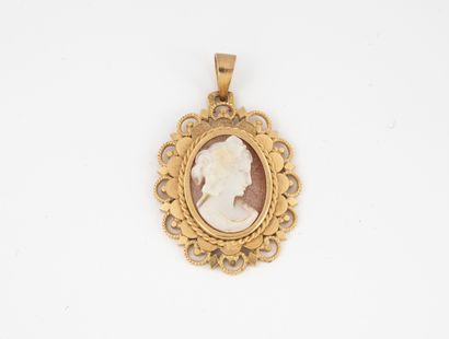 Yellow gold (750) oval pendant holding a...