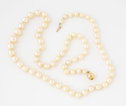 Necklace of white cultured pearls in fall....
