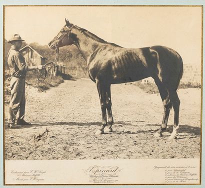 Georges MALISSARD (1877-1942) Epinard, two-year-old stallion, 1923.
Bronze proof...