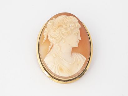 null Yellow gold (750) pendant brooch holding a cameo on a shell with a woman in...