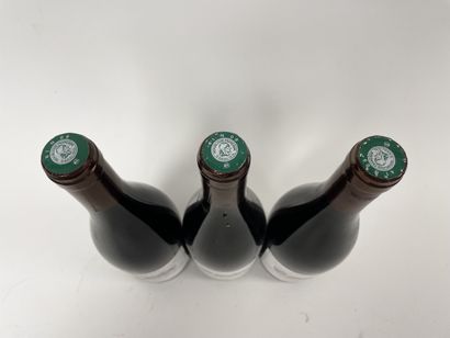 SAINT-NICOLAS-DE-BOURGUEIL 3 bottles, 2008.

Domaine de la Gnetière.

Good level.

Small...