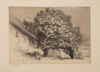 Edgar CHAHINE (1874-1947) The chestnut tree, 1914.

Etching on paper.

Artist's proof.

Signed...
