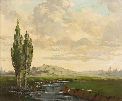 Marcel HARANG (XXème siècle) Bouquet of cypresses at the edge of a river. 

Oil on...