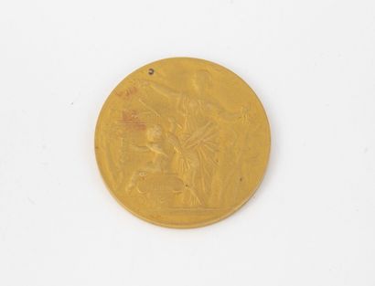 null Médaille de 3ème Classe en or (min. 750) Société des artistes français, Salon...