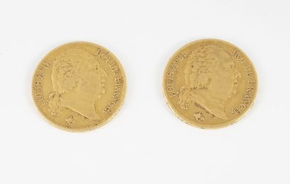 FRANCE 2 pièces de 20 francs or Louis XVIII, tête nue, Paris (A), 1817 et 1818.

Poids...