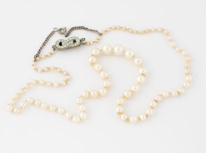 Necklace with a row of white cultured pearls....