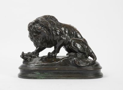 D'après Antoine Louis BARYE (1796-1875) Lion au serpent n°2. 

Épreuve en bronze...