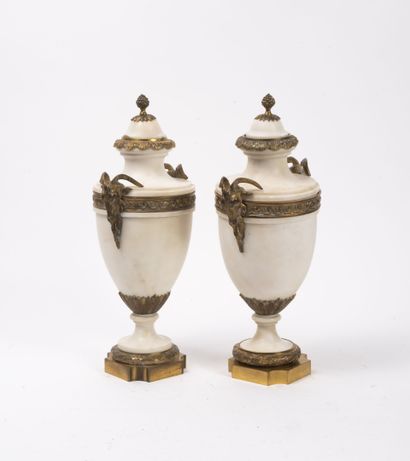Pair of baluster vases on alabaster pedestal...