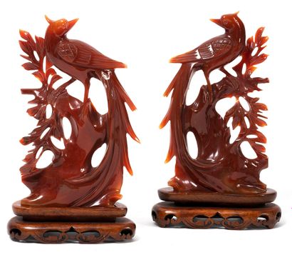 CHINE, XXème siècle Deux groupes en agate brune, baignée, sculptée à décor d'un phénix...