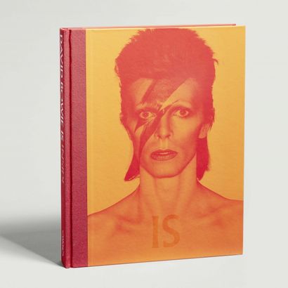 2 livres collector: catalogues de l'exposition David Bowie et Electro 