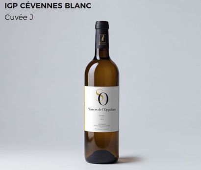 12 bouteilles de vin Blanc des Sources de l'Oppidum Le domaine des Sources de l'Oppidum...