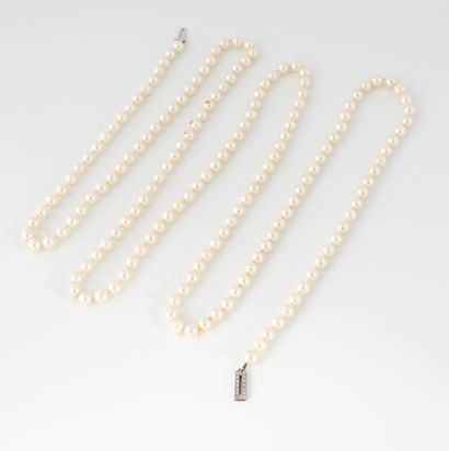 Necklace of white cultured pearls in choker.
White...