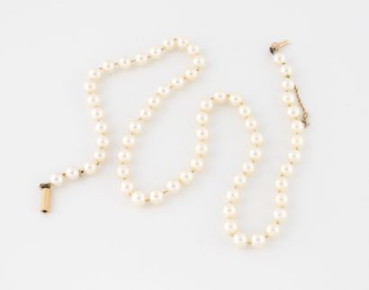 null Necklace of cultured pearls.
Clasp ratchet in yellow gold (750) and safety chain....