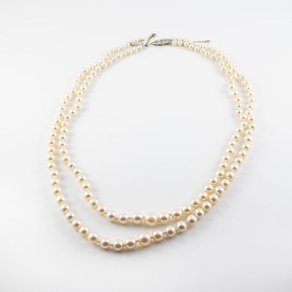 null Necklace with two rows of white cultured pearls in fall.
Ratchet clasp in white...