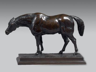 Antoine-Louis BARYE (1796-1875) Cheval demi-sang (tête baissée). Epreuve en bronze...