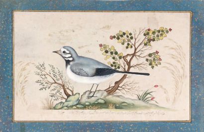 IRAN Oiseau sur un tertre. L'oiseau est représenté de profil entre deux arbustes...