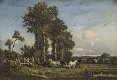 Félix Saturnin BRISSOT DE WARVILLE (1818-1892) Chevaux dans la prairie.
Huile sur...