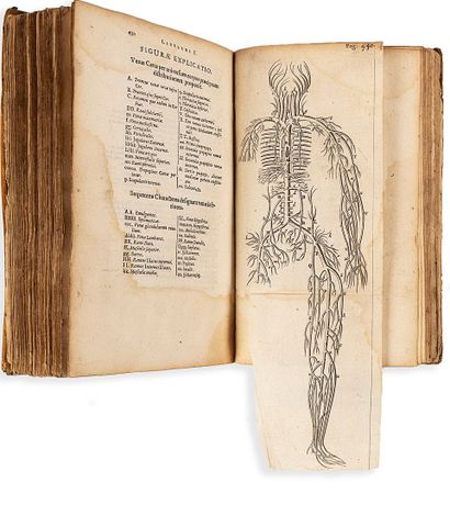 BARTHOLIN (Thomas) Anatomia, ex caspari Batholini parentis institutionibus. Omniumque...