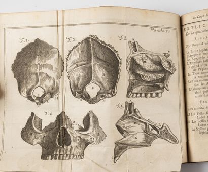 BONHOMME (J.J.) Traité de l'ostéologie du corps humain ou l'histoire des os.
Avignon,...