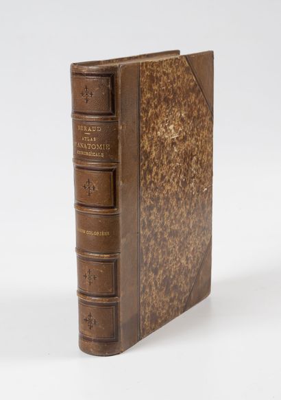BERAUD (J.B.) Atlas complet d'anatomie chirurgicale topographique.
Paris, Baillière,...