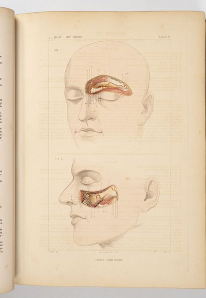 BERAUD (J.B.) Atlas complet d'anatomie chirurgicale topographique.
Paris, Baillière,...