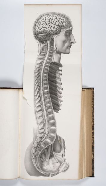 BOURGERY (M.J.B.) - JACOB (N.H.) Traité complet de l'anatomie de l'homme, contenant...