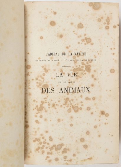 FIGUIER (L.) Les mammifères.
Paris, Hachette,1869, in-8, demi-rel. bas. bleu marine,...