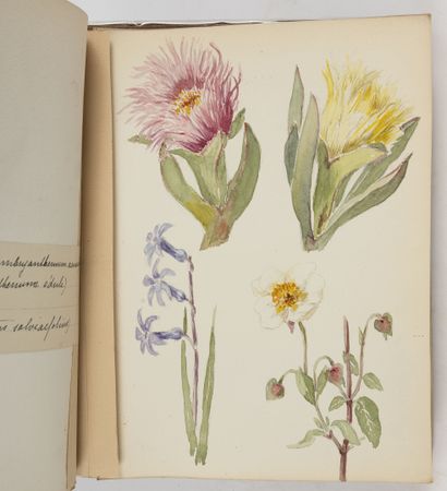 JAQUET Fleur des champs.
S.l., s.d. (vers 1930), in-8, cart. bas. grenat, dos insolé....