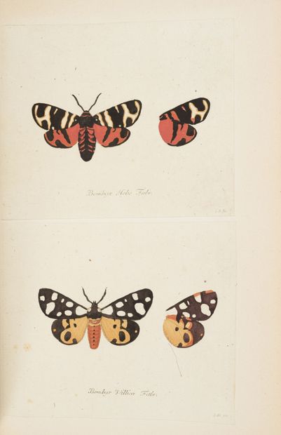 STURM Papillons d'Europe.
S.l, 1793, in-4, demi-rel. à coins bas. maroquinée rouge,...