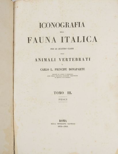 BONAPARTE (Carlo L. Principe). Iconografia della fauna italica per la quattro classi...