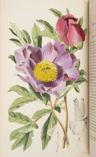 MOGGRIDGE (J.T.) Contributions to the Flora of Mentone and to a winter flora of the...