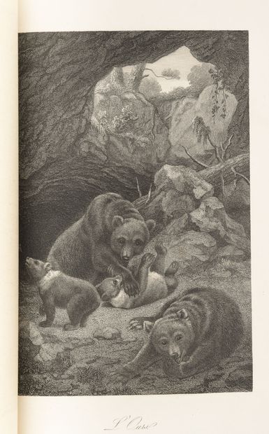 HOEFER Le monde des bois. Plantes et animaux.
Paris, Rothschild, 1868, in-4, demi-rel....
