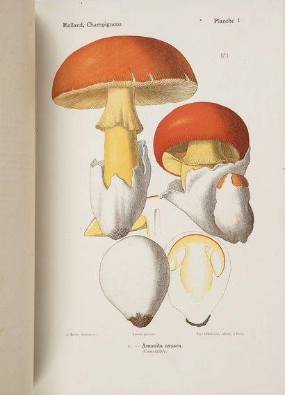 ROLLAND Atlas des champignons de France, Suisse et Belgique.
Paris, Klincksieck,...