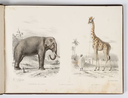 TRAVIES Buffon en estampes.
Paris, Ledot ainé, s.d. (c. 1860), in-4, oblong, demi-rel....