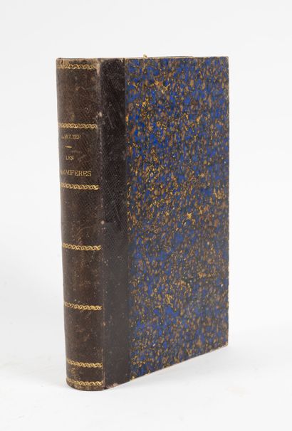 FIGUIER (L.) Les mammifères.
Paris, Hachette,1869, in-8, demi-rel. bas. bleu marine,...