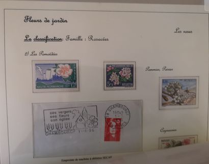null France and abroad on the themes "floral palette and the rose" of which envelopes...