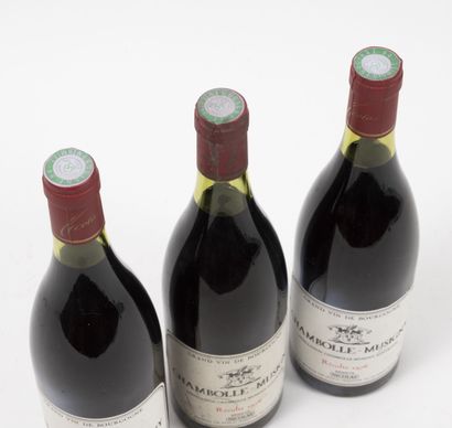 CHAMBOLLE-MUSIGNY 3 bouteilles, 1976.
Niveau légèrement bas.
Petites taches et frottements...