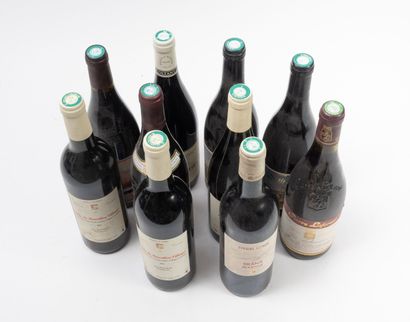 SAINT-JOSEPH 2 bouteilles, 1996.
Cuvée des Mariniers.
Bon niveau.
Frottements, pliures...