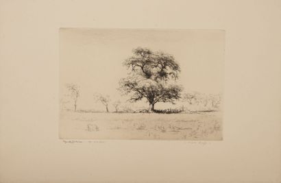 Edgar CHAHINE (1874-1947) Anglet, cork oak, 1924.
Etching on paper.
Artist's proof.
Signed...